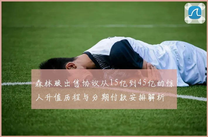 森林狼出售协议从15亿到45亿的惊人升值历程与分期付款安排解析