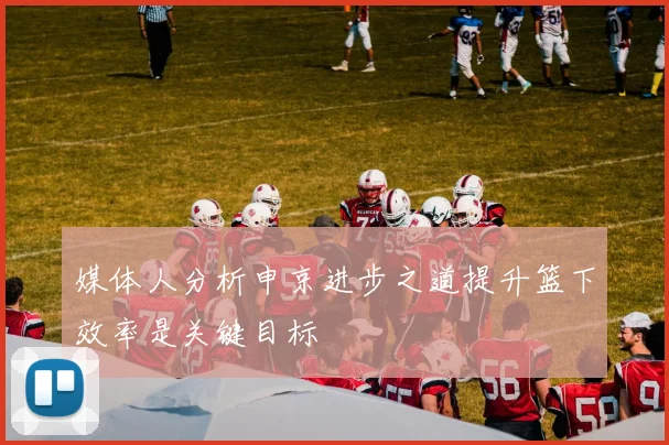 媒体人分析申京进步之道提升篮下效率是关键目标
